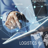 Спикеры Logistics Summer Camp