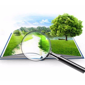 Експерти ЗВ