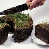 Эксперты ЗО