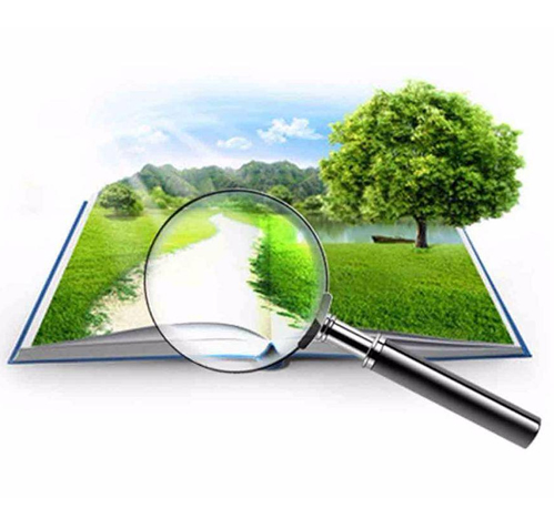 Эксперты ЗО