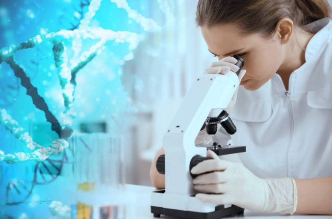 етапи розробки ліків